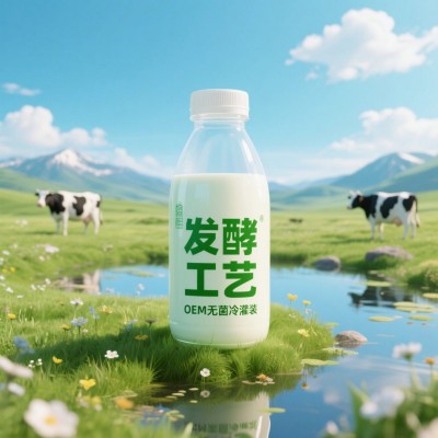 河北无菌冷灌装PET瓶发酵酸奶饮品代加工